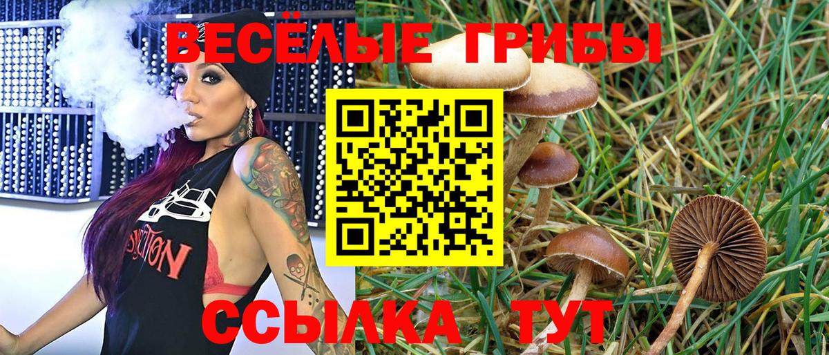 Сергиев Посад  Галлюциногенные грибы мицелий  Галлюциногенные грибы ЛСД  Вход с VPN 